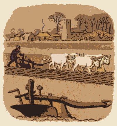 Agriculture au Moyen Âge - English School